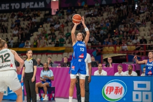 Ά&nu;&epsilon;&tau;&alpha; &sigma;&tau;&alpha; &eta;&mu;&iota;&tau;&epsilon;&lambda;&iota;&kappa;ά &eta; &Gamma;&alpha;&lambda;&lambda;ί&alpha;